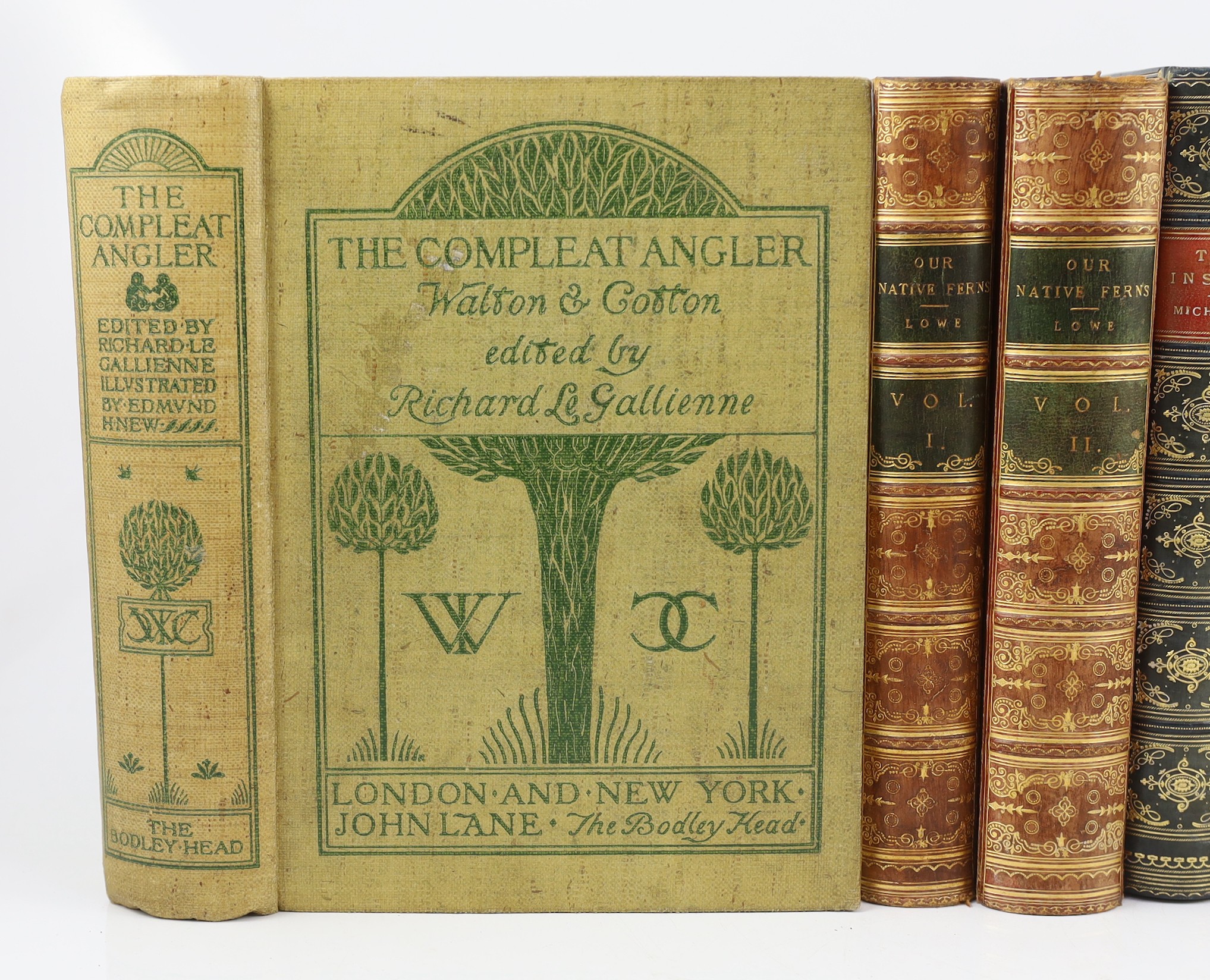 ° Wood, Rev. J.G. - The Illustrated Natural History. 3 vols. engraved illus. throughout; old gilt-decorated red half calf and marbled boards, panelled spines with green labels, roy.8vo. (?1860) - 63
